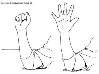 Forearm with elbow placed on a table. Clenched and stretched fingers respectively