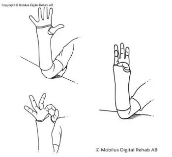 Forearm with a cast over the wrist with the elbow against a table. Thumb meeting index finger then all fingers including thumb being extended.