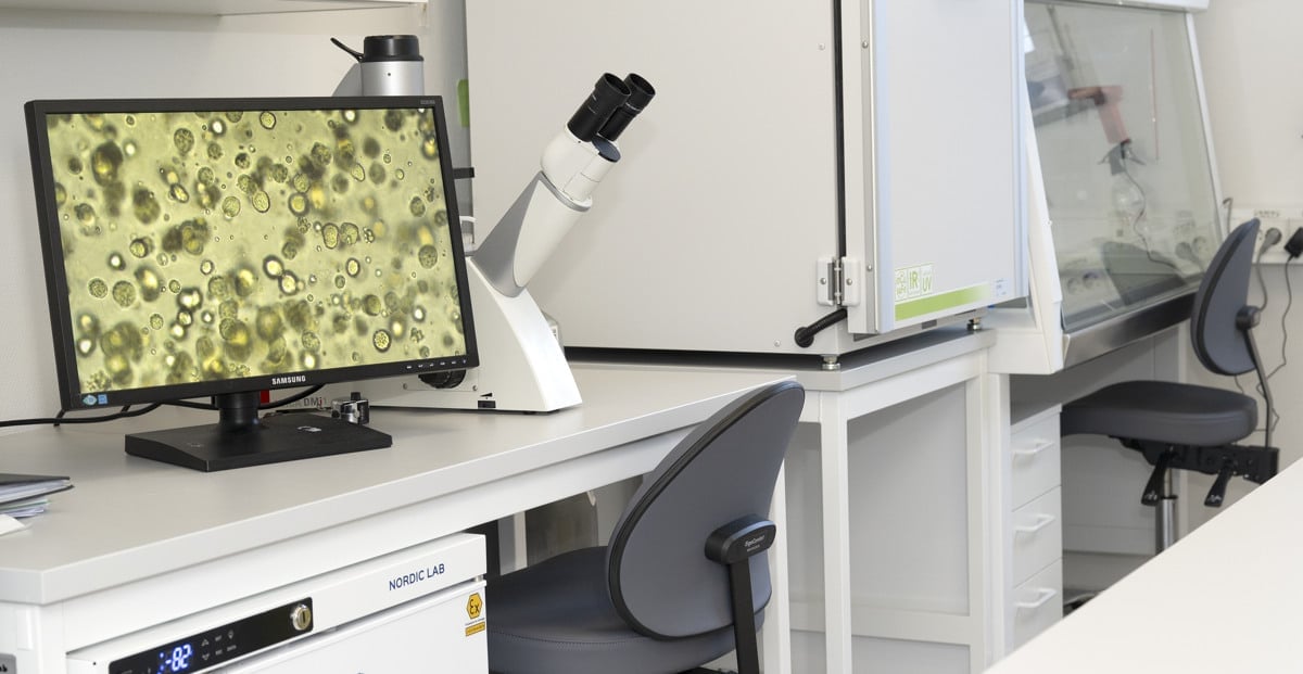 Organoidlabbet Danderyds sjukhus.