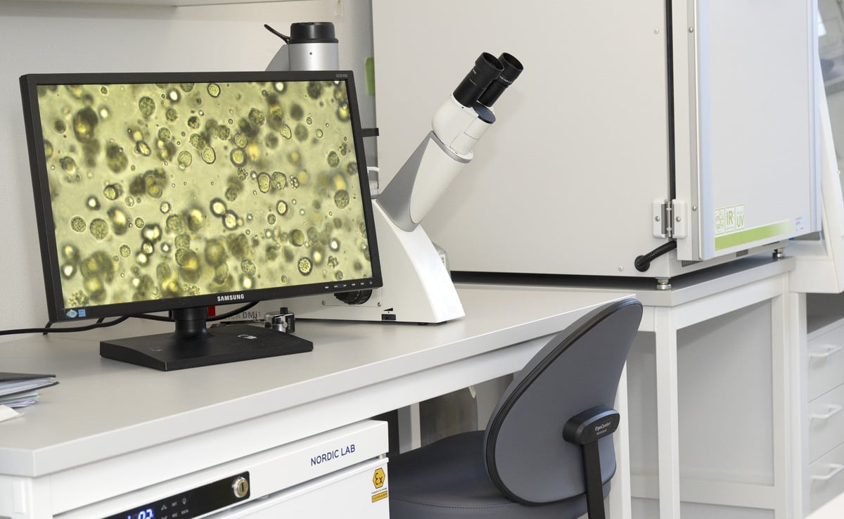 Organoidlabbet Danderyds sjukhus.