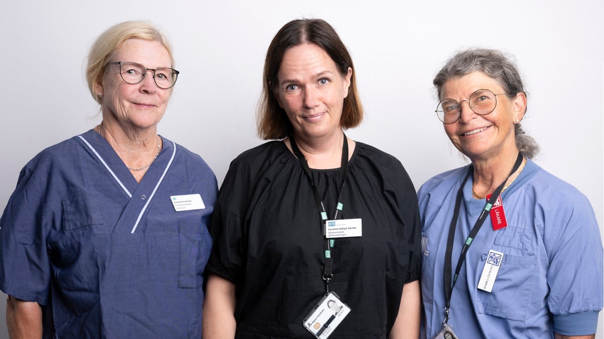 Gunilla Nordlander. Caroline Hällsjö Sander, Anette Hein