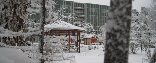 Foto på Träningsträdgård vinter