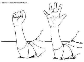 Forearm with elbow placed on a table. Clenched and stretched fingers respectively