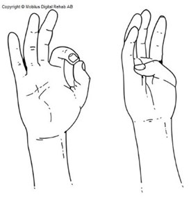 En hand där tummen möter pekfingret i en vid båge samt att tummen når basen av lillfingret.